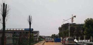 武汉江夏最新爆料,揭秘武汉江夏区最新动态与热点事件  第1张